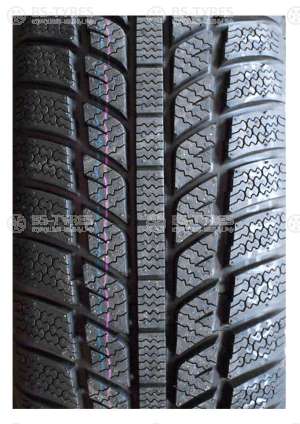 Evergreen Winter EW62 205/65 R15 94H