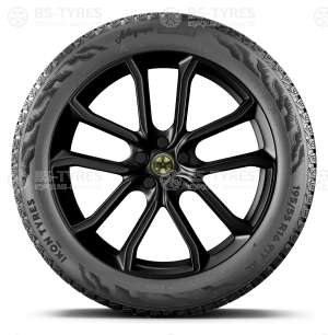 Ikon (Nokian Tyres) Autograph Snow 5 245/40 R20 99T