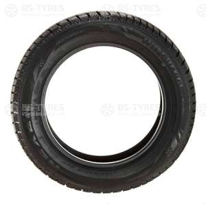 Winguard Winspike WH6