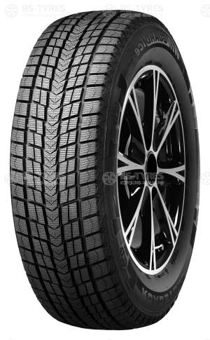 Roadstone Winguard Ice 225/75 R16 104T