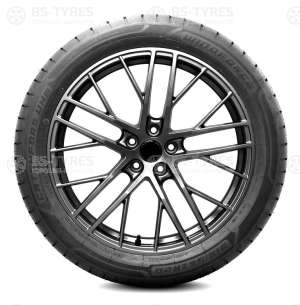 Windforce Catchfors UHP 195/55 R16 91V